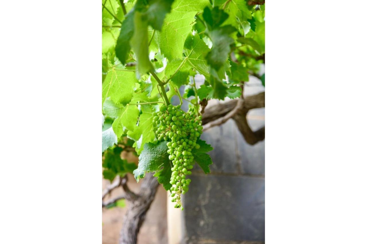 Ta'Martin Farmhouse Xewkija Gozo Bagian luar foto